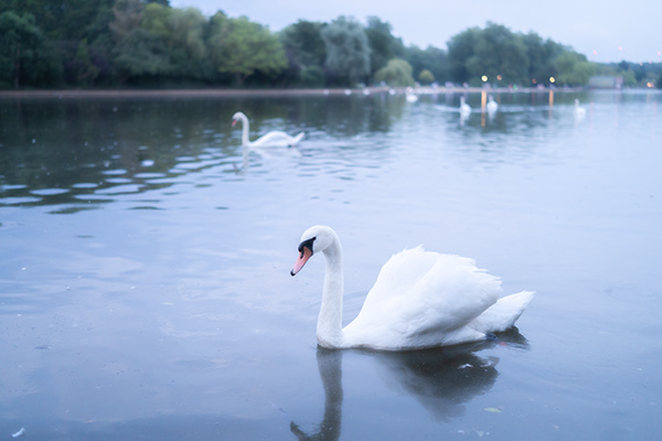 London, England