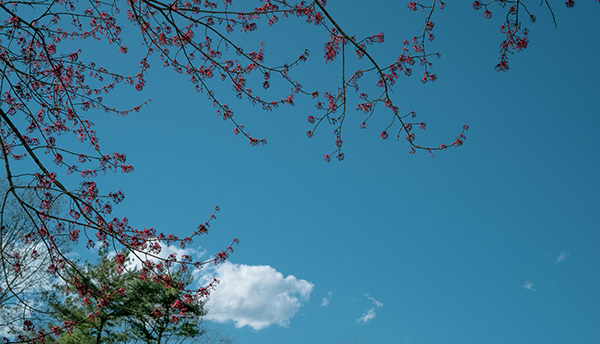 Pittsburgh, USA